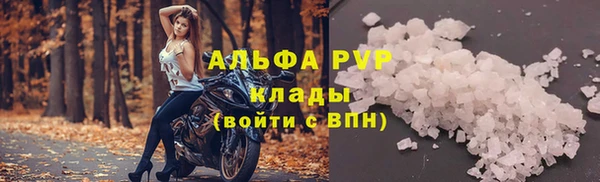 винт Алексин