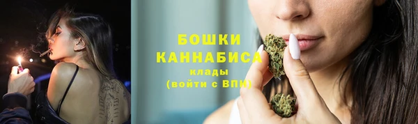 шишки Костерёво