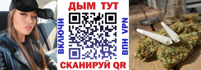 Каннабис Amnesia  где купить наркоту  Томари 